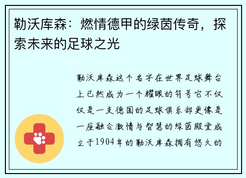 勒沃库森：燃情德甲的绿茵传奇，探索未来的足球之光